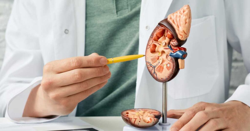 Signs of Kidney Disease